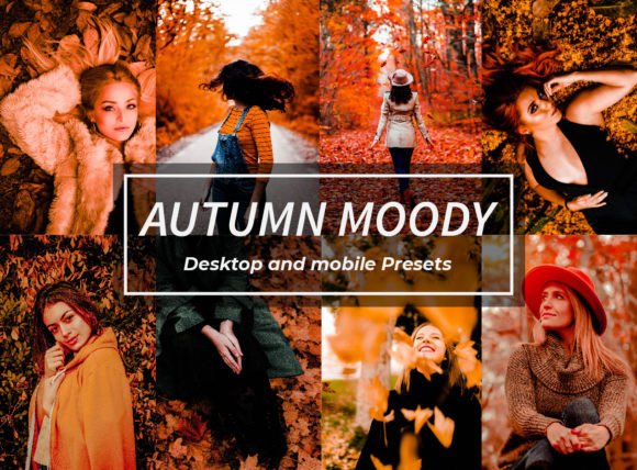 Download Autumn Moody Lightroom Presets - Premium Bundle