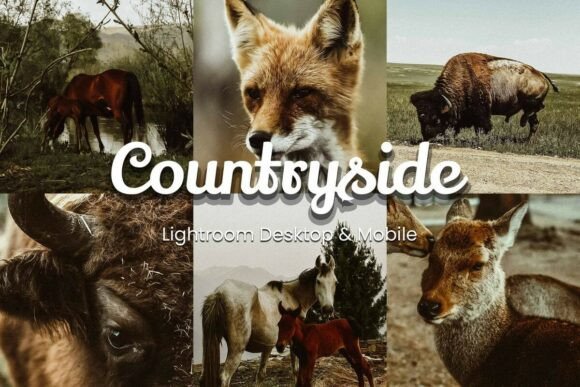 Download 30 Countryside Lightroom Bundle - Lightroom bundle Collection